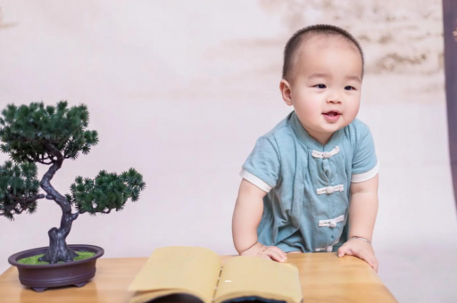 成都试管代怀可爱的企鹅宝宝
